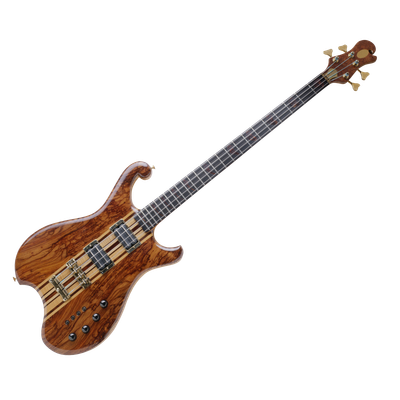 bass guitar