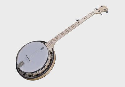 Deering Goodtime Special Open Back 5 String Banjo