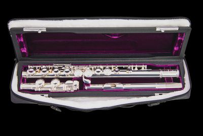 Trevor James 10xE Student Flute