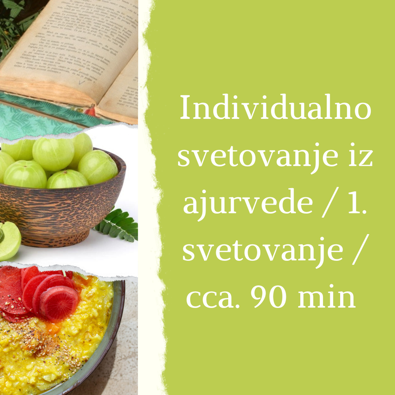 Individualno svetovanje iz ajurvede/1 svetovanje 90 min