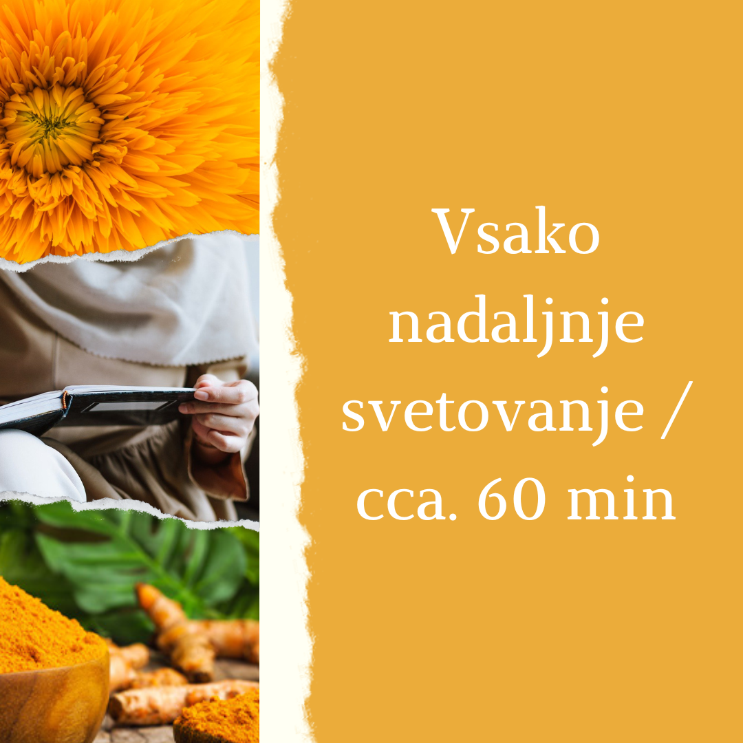 Vsako nadaljne svetovanje / 60 minut