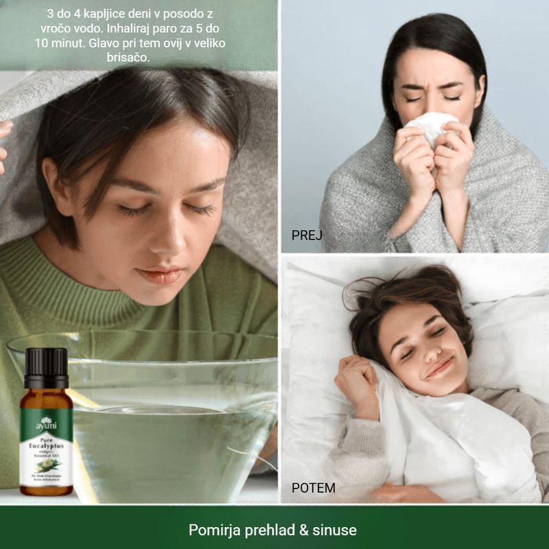 AYUMI eterično olje EVKALIPTUS 100 % čisto / 20 ml