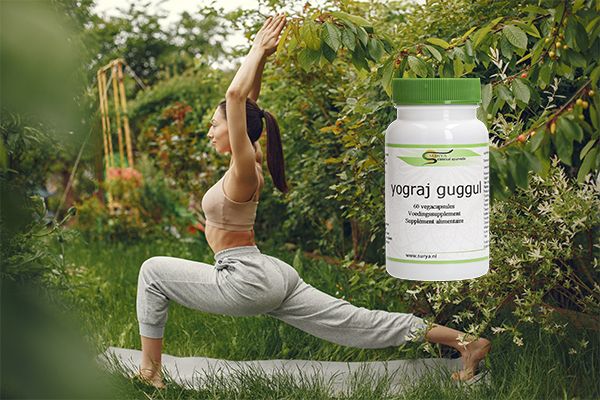 SURYA yograj guggul VEGE kapsule plus BIO/ 600mg/ 60
