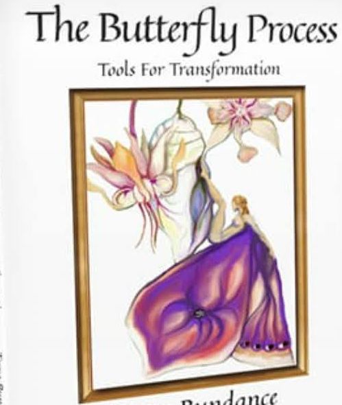 The Butterfly Process - Tools for Transformation Book