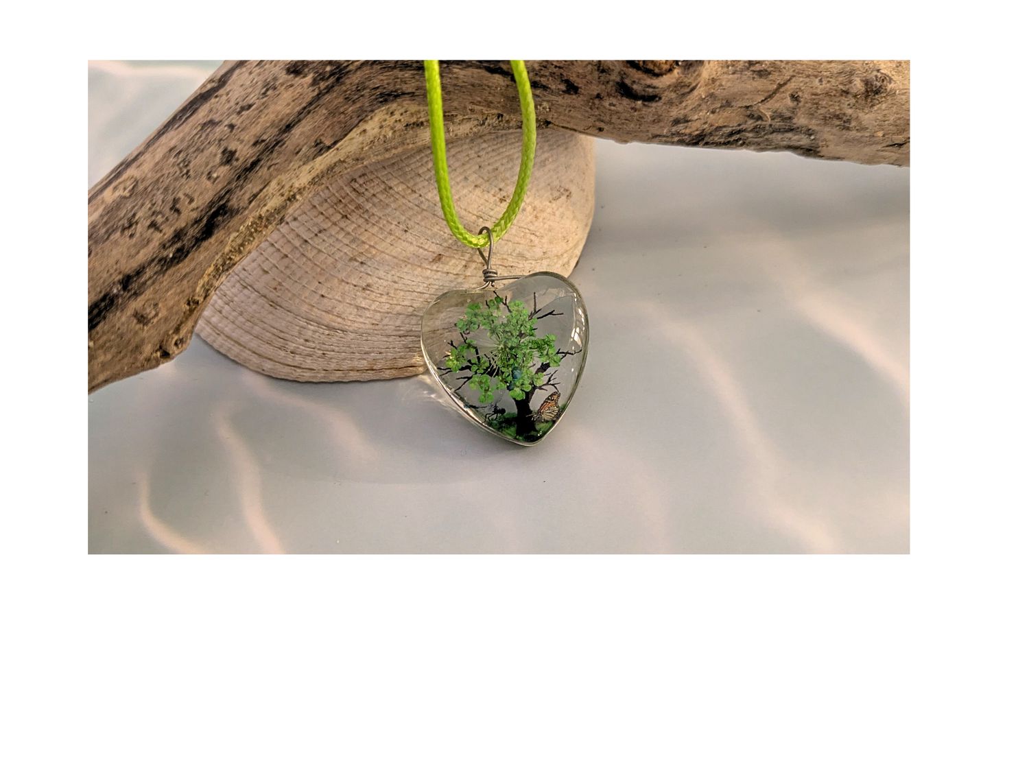 Heart of New Growth Heart of New Growth