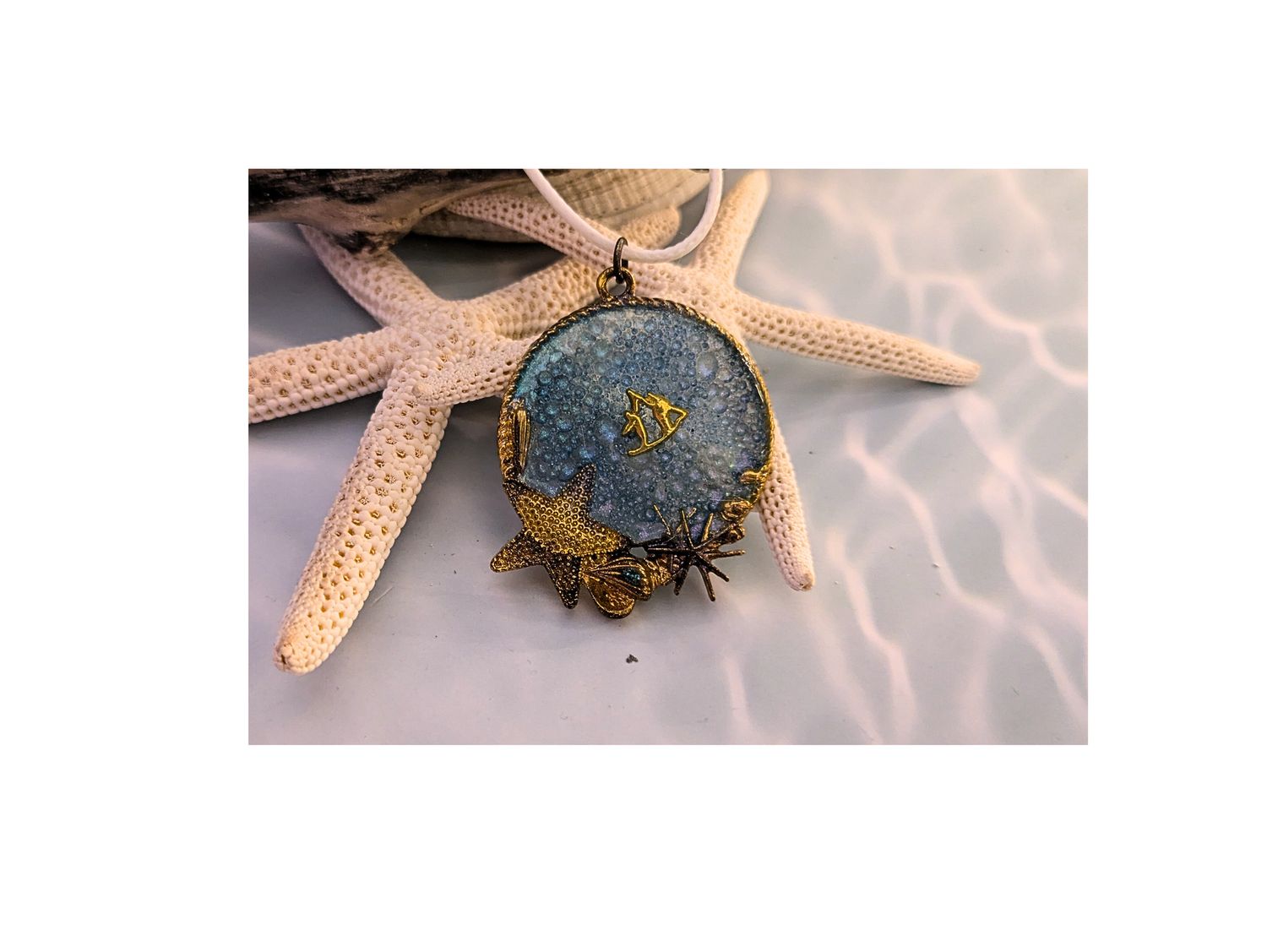 Star of the Shallows