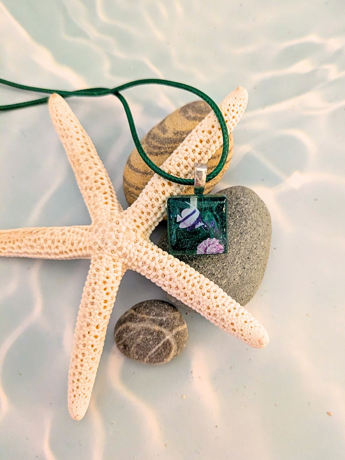 Tidepool Whisper Tidepool Whisper