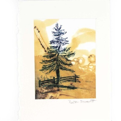 Neighbors (Maine Trees series) EMMB006