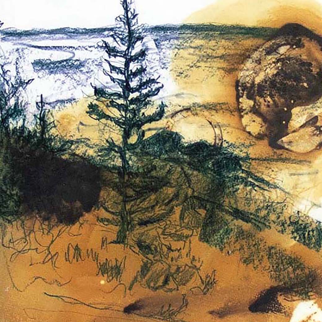 Evening (Maine Trees series) EMMB008