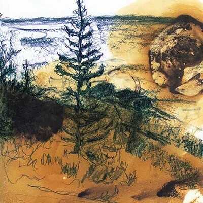 Evening (Maine Trees series) EMMB008