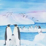 Penguins, small print SUNH040