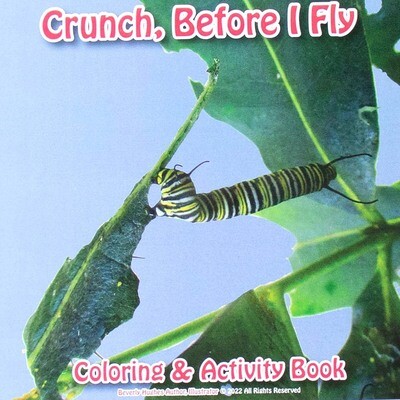 Crunch Before I Fly, activity book HUGB315