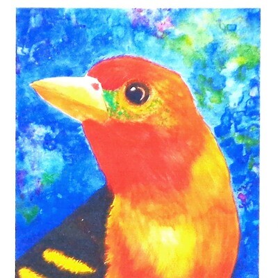 Western Tanager, print BARC200