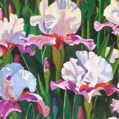 Iris Field, card MILE081