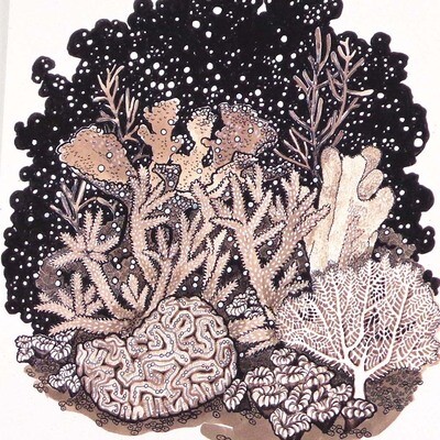 Coral Reef, Spawning, print MALK181