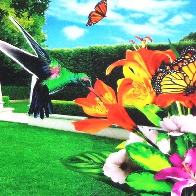 Butterfly Garden, card KOPS459