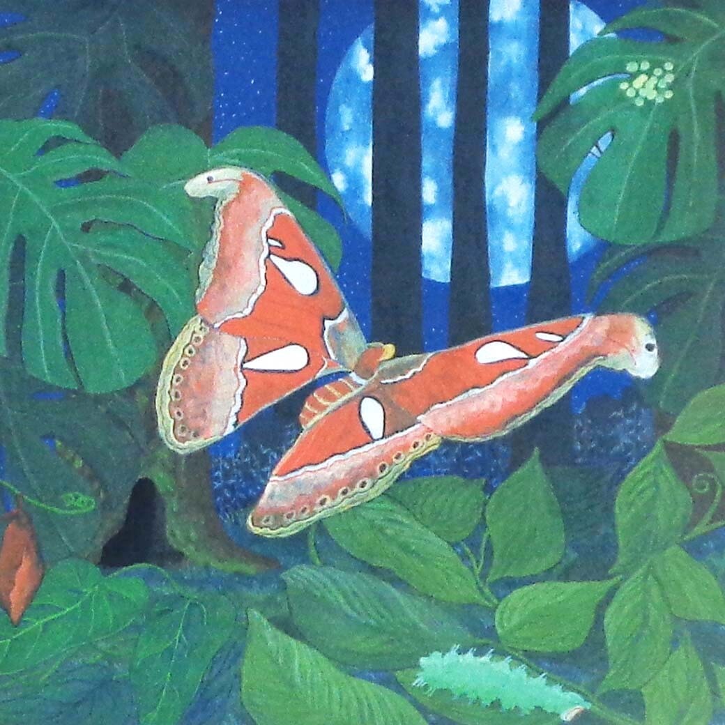 Life Cycle of the Atlas Moth, small print SUNH025