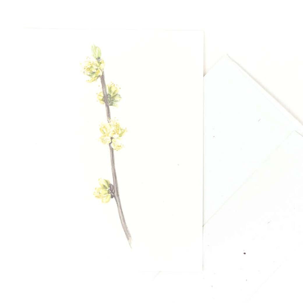 Horse Sugar in April, card MALK204