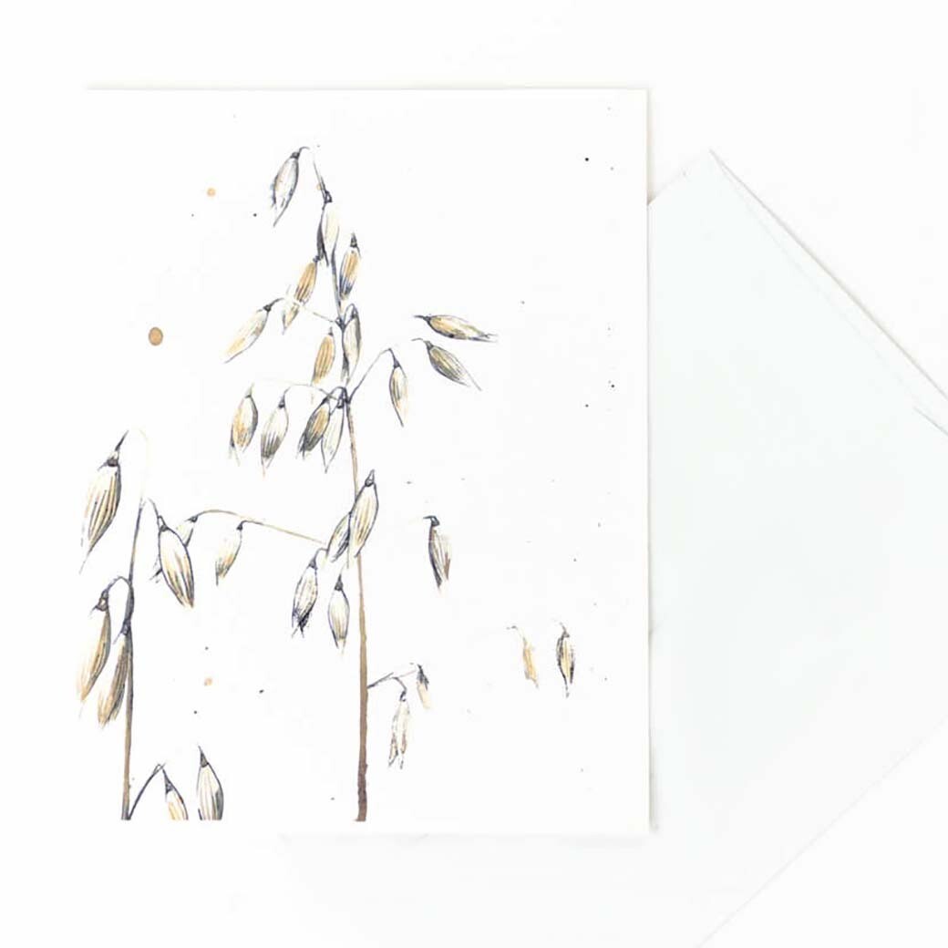 Milky Oats (arena sativa), card MALK212