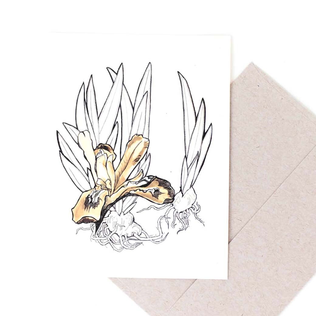 Iris with Bulbs, card MALK207