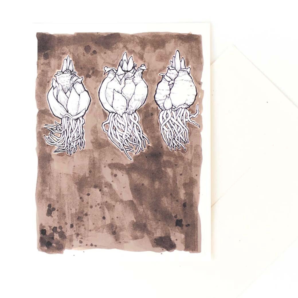 Cactus Bulbs Sprouting, card MALK216