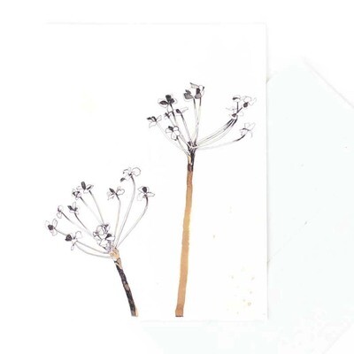 Chive Seedheads, card MALK213