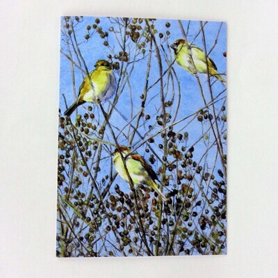 Sparrows in the Tree, card (C26) KRUP30