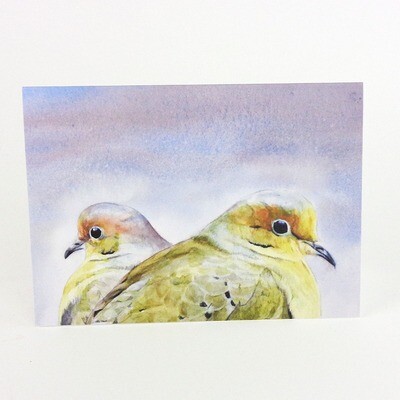 Mourning Dove Portrait, card (C38) KRUP44