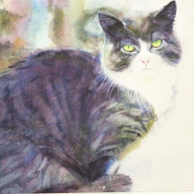Winter Cat Portrait , card (C41) KRUP48