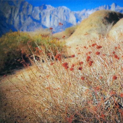 Side Trail to Mount Whitney, photo print MCDS096