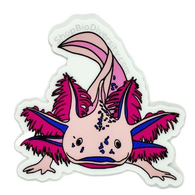 Pink Axolotl, sticker BOGJ220