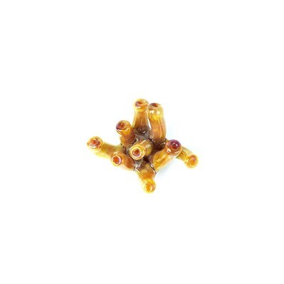 Coral Cluster, glass ornament LANJ180