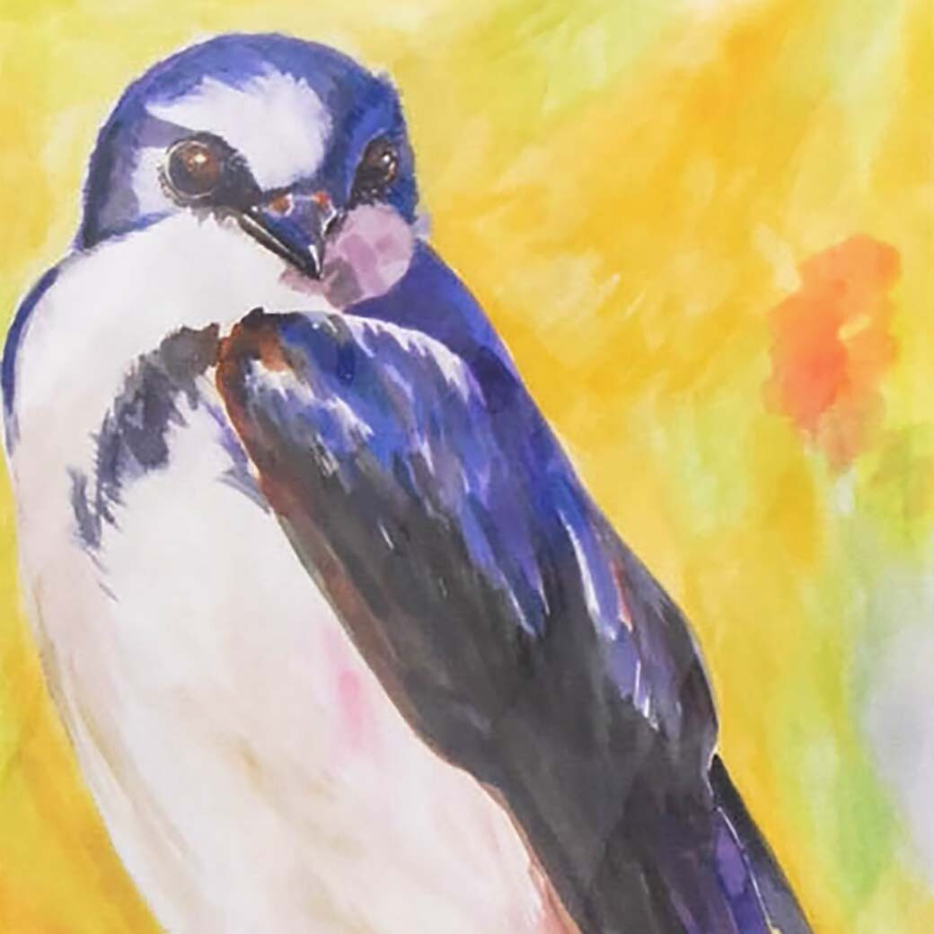 Blue Bird, card BARC180