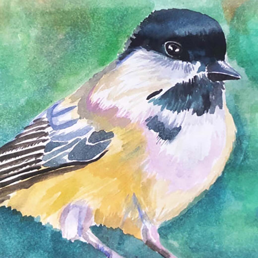 Black Capped Chickadee, card BARC183