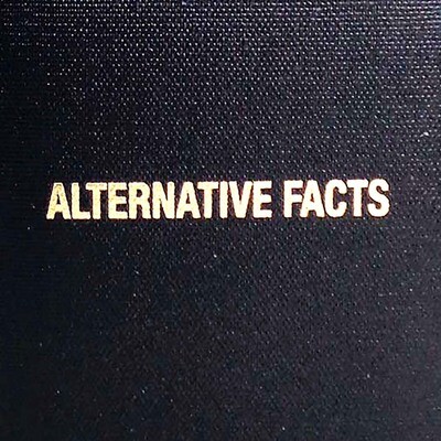 Alternative Facts, blank book COLD761