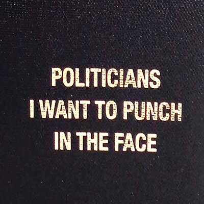 Politicians I Want To Punch In The Face, blank book COLD760