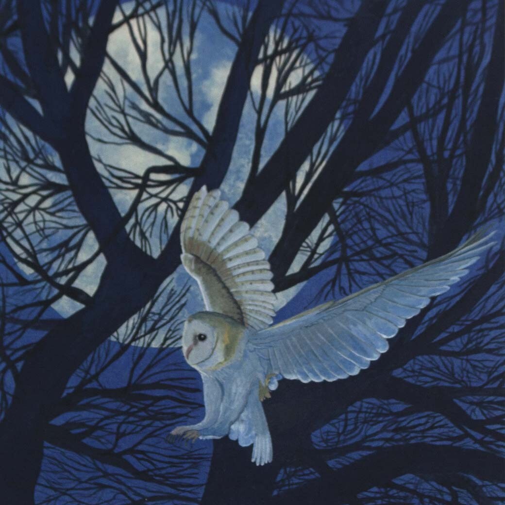 Owls, mini print SUNH045