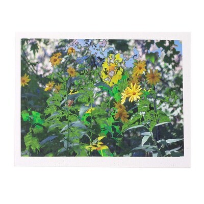 And The Universe Said You Are The Daylight, photo on canvas TUCK03
