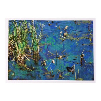 And The Universe Said You Are Not Alone, photo on canvas TUCK04