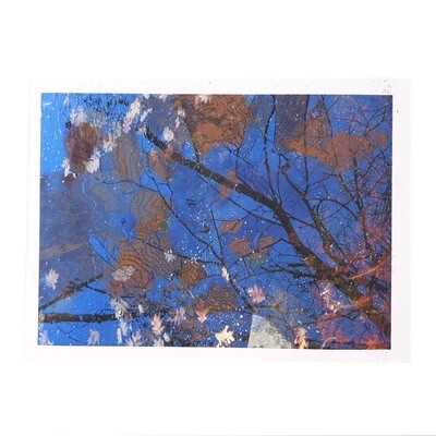 And The Universe Said Everything You Need is Within You, photo on canvas TUCK01