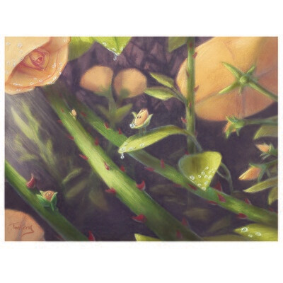 Buds, print TONK022