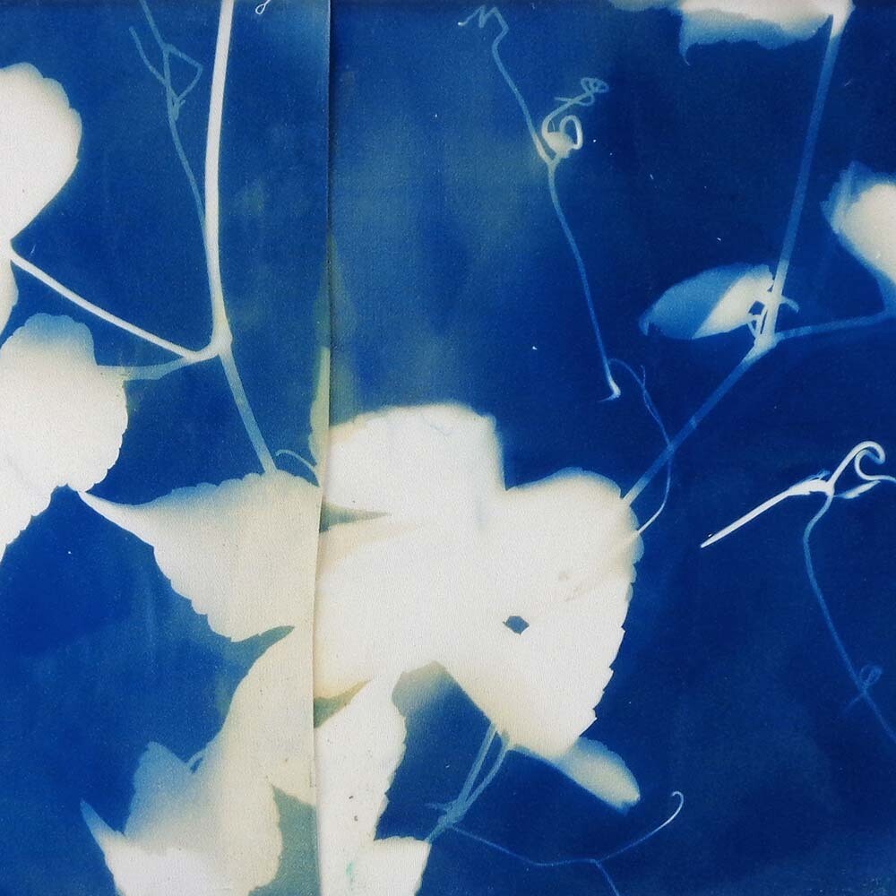 Leaves On Vine, cyanotype on fabric ROHG009