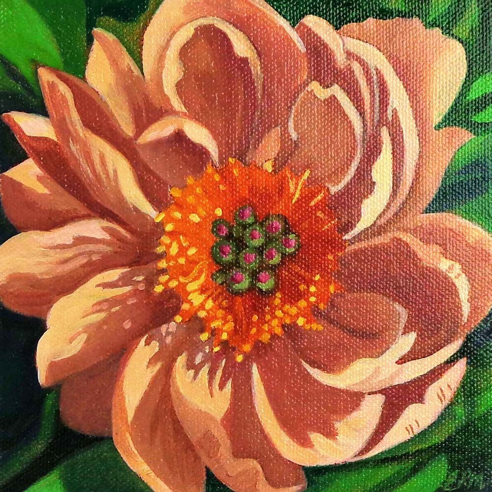 Peach Peony, oil on canvas MILE107