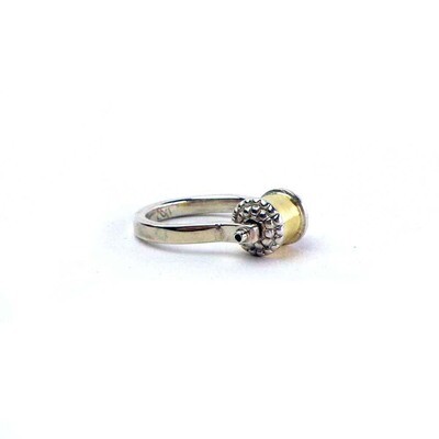 Fidget Ring Silver and Gold, ring BRYH615
