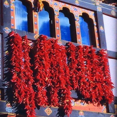 Red Chiles of Bhutan, framed photo MILJ29