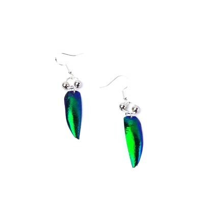 Iridescent Insect Wings with Silver Beads, earrings KOSC021