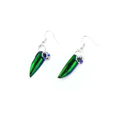 Iridescent Insect Wings with Metal Beads, earrings KOSC022