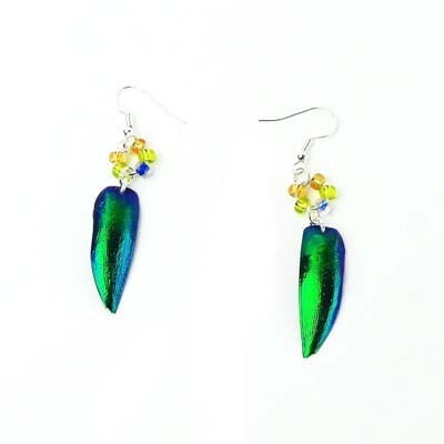 Iridescent Insect Wings with Yellow, Beige, Blue Beads, earrings KOSC023