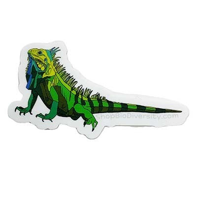 Green Iguana, sticker BOGJ233