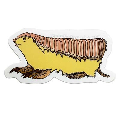 Pink Fairy Armadillo, sticker BOGJ236
